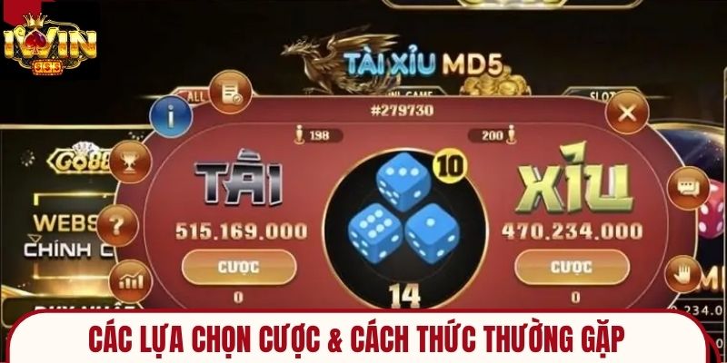 Các Lựa Chọn Cược & Cách Thức Thường Gặp 